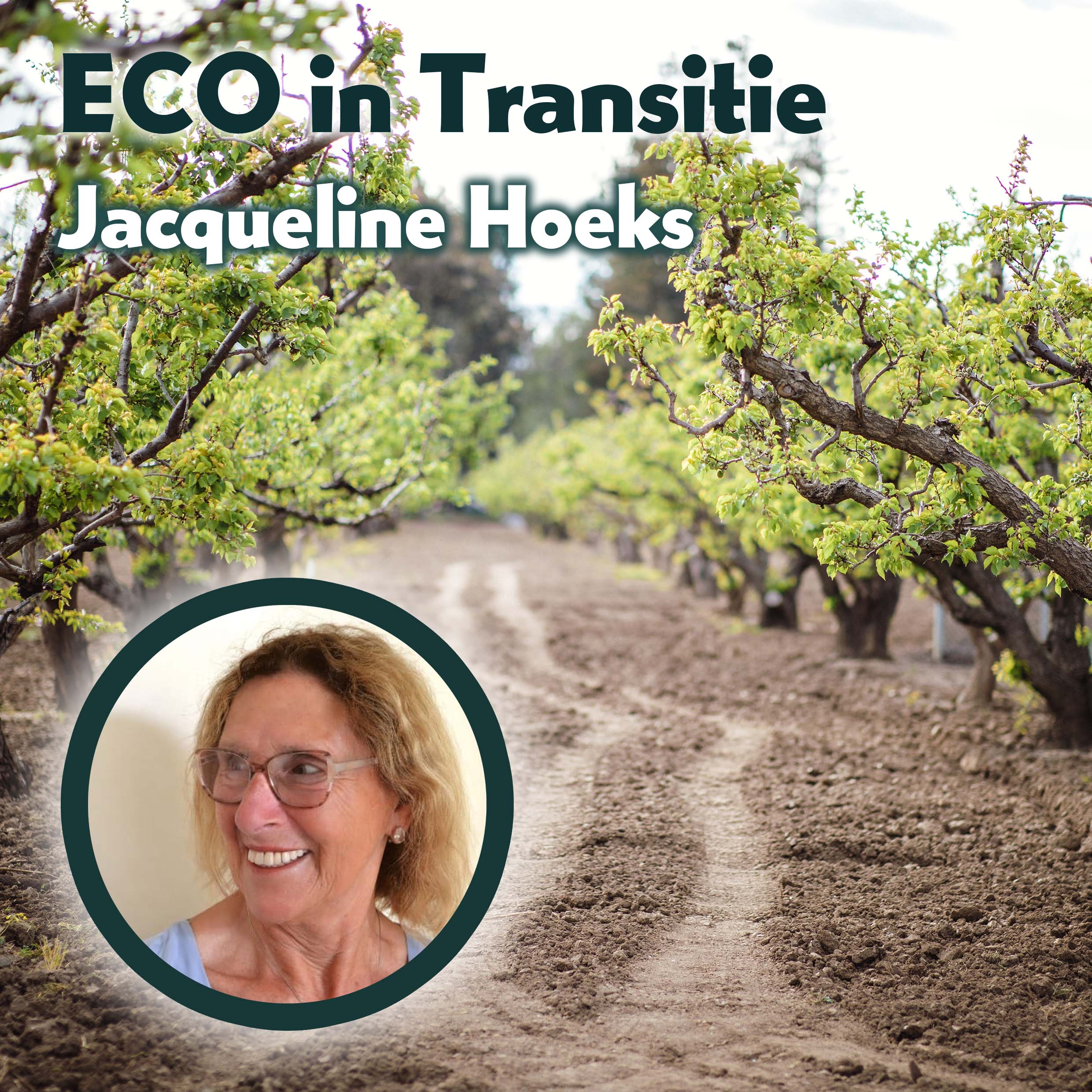 Eco in transitie - Jacqueline Hoeks