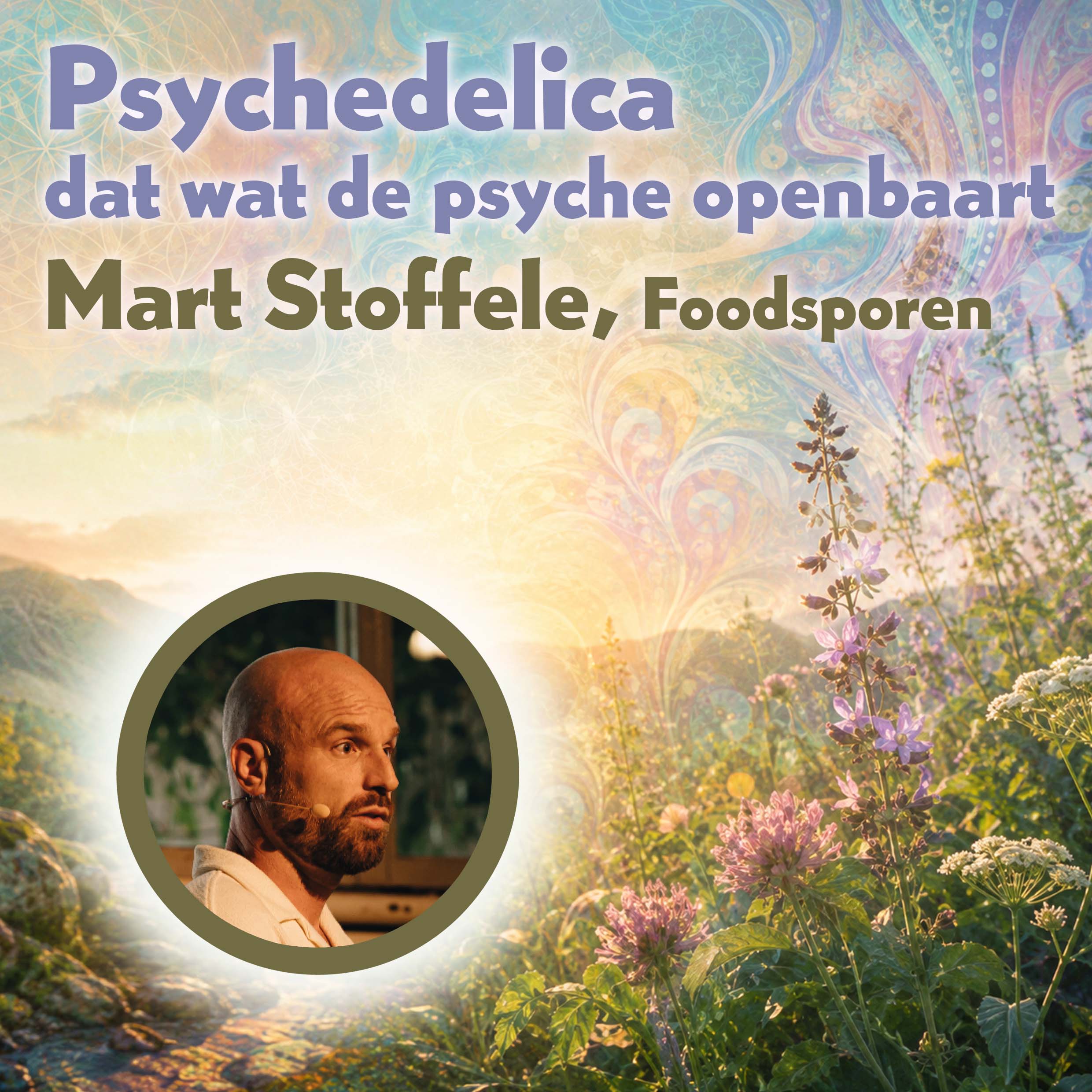Psychedelica - Mart Stoffele